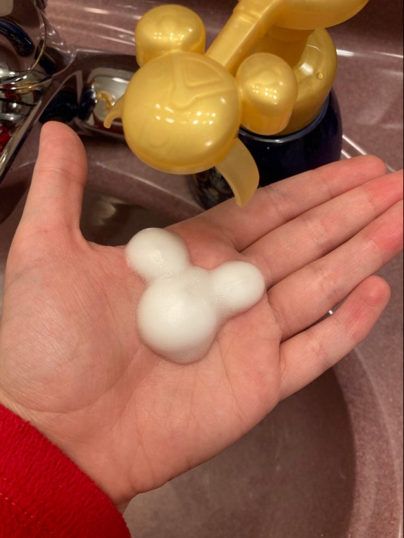 Plush pneumococcus and 22 other curiosities that few people have seen