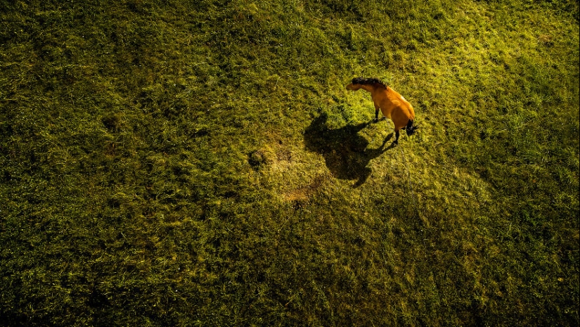 Poco Lituania, resulta que es increíblemente hermoso