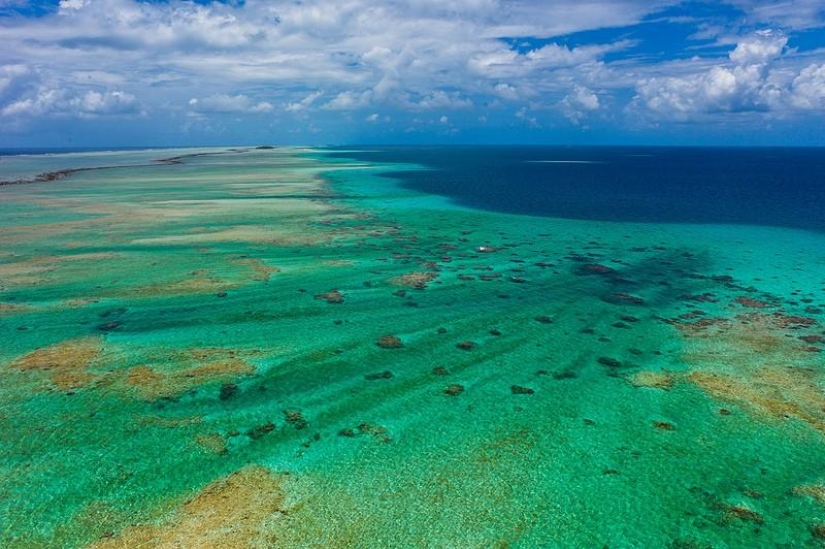 Polynesian paradise from the height of a kite