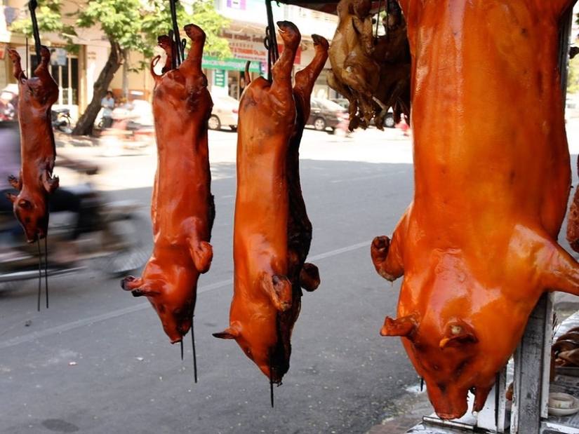 Popular street food in different countries