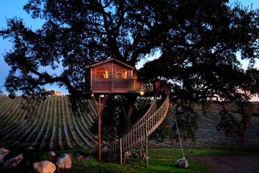 Por esta casa en el árbol renunciarás a todo y te mudarás a la Toscana Por esta casa en el árbol renunciarás a todo y te mudarás a la Toscana