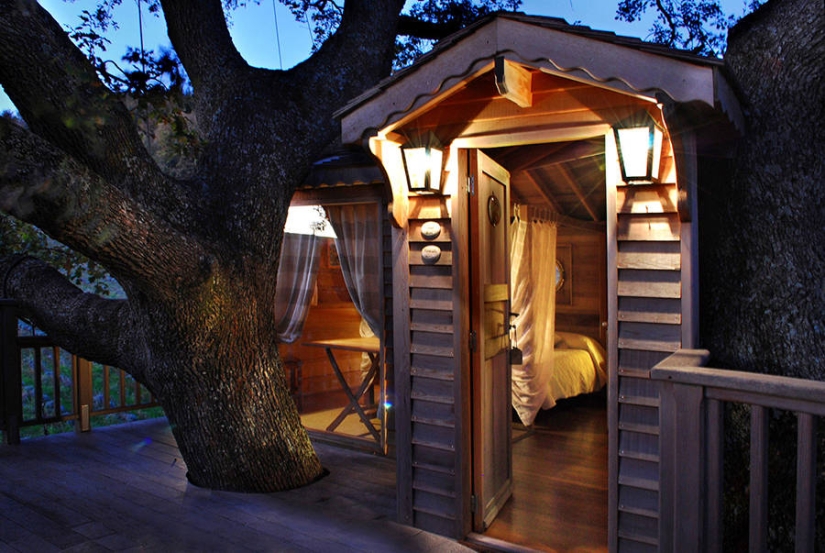 Por esta casa en el árbol renunciarás a todo y te mudarás a la Toscana Por esta casa en el árbol renunciarás a todo y te mudarás a la Toscana