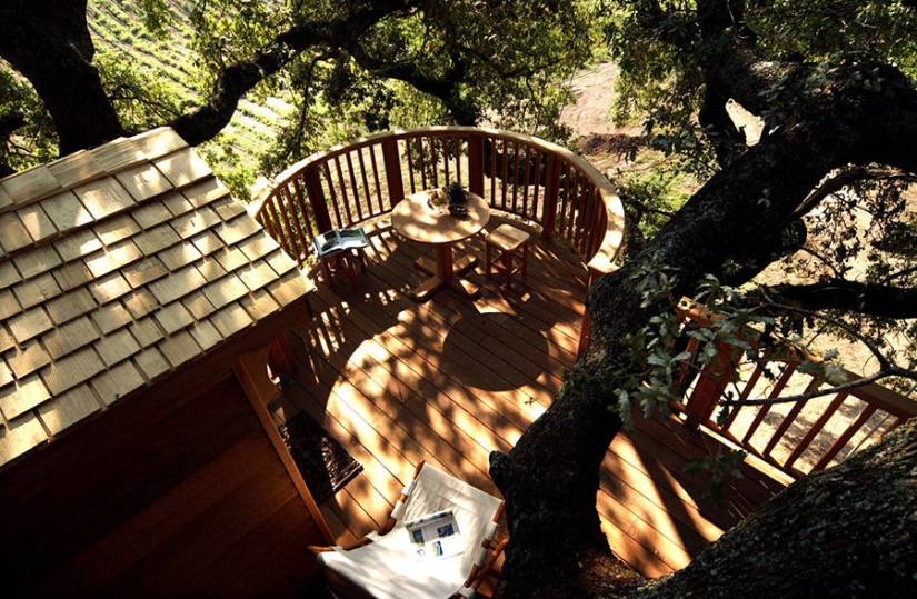 Por esta casa en el árbol renunciarás a todo y te mudarás a la Toscana Por esta casa en el árbol renunciarás a todo y te mudarás a la Toscana