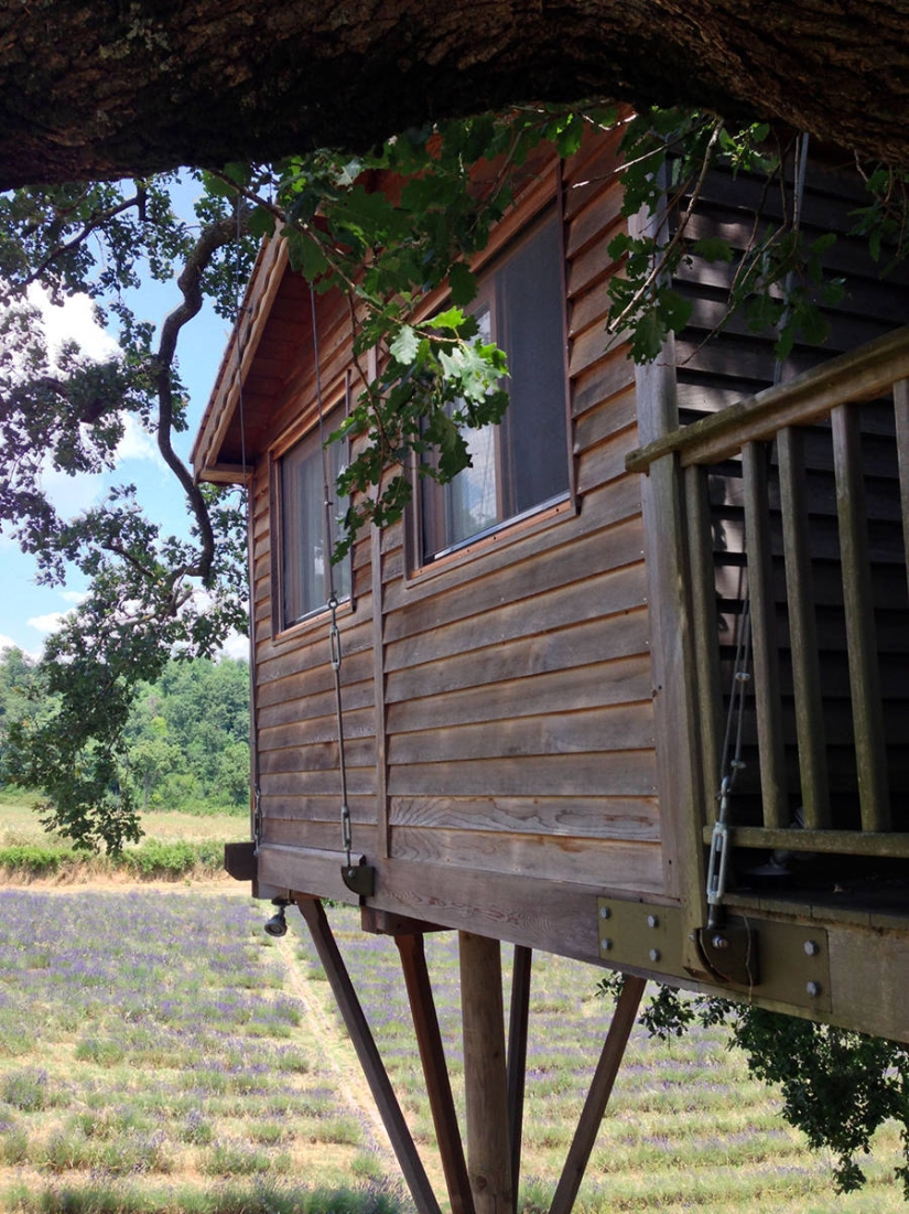 Por esta casa en el árbol renunciarás a todo y te mudarás a la Toscana Por esta casa en el árbol renunciarás a todo y te mudarás a la Toscana