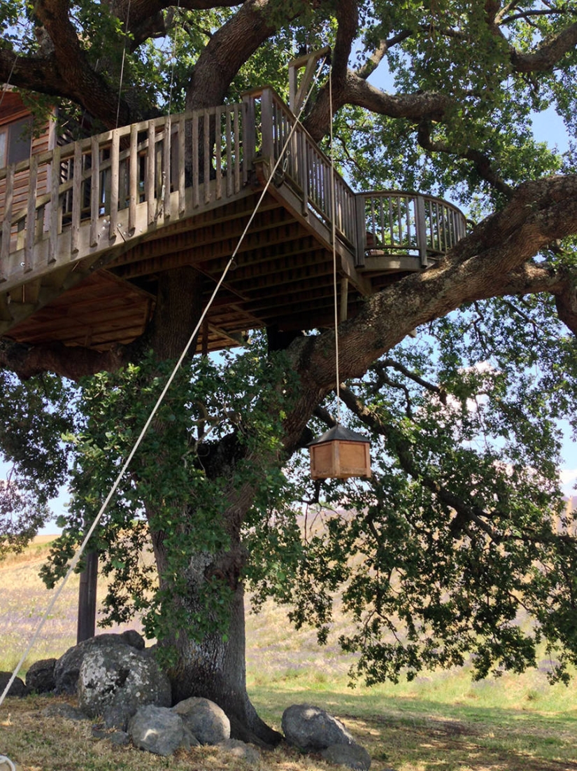 Por esta casa en el árbol renunciarás a todo y te mudarás a la Toscana Por esta casa en el árbol renunciarás a todo y te mudarás a la Toscana