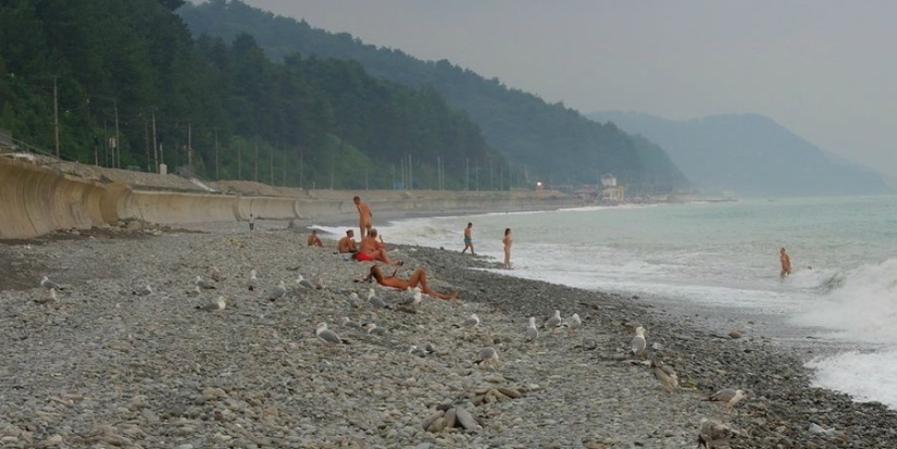 Por qué caminar desnudo: Una breve historia del Nudismo Por qué caminar desnudo: Una breve historia del Nudismo