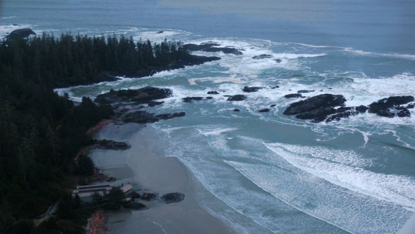 ¿Por qué en la playa en Canadá a encontrar zapatillas de deporte con cortó los pies ¿Por qué en la playa en Canadá a encontrar zapatillas de deporte con cortó los pies