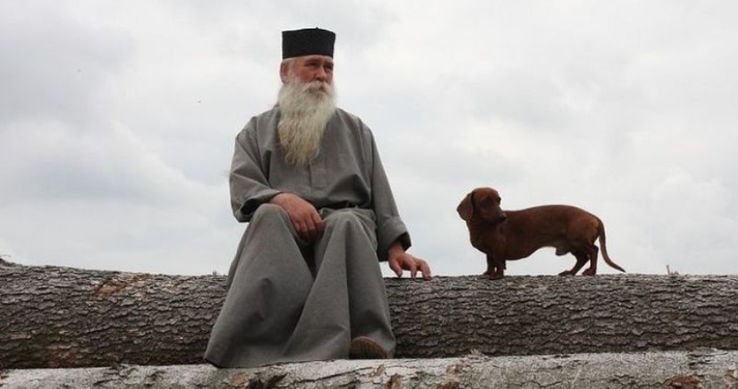 Por qué en muchas culturas los perros eran considerados animales inmundos