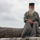 Por qué en muchas culturas los perros eran considerados animales inmundos