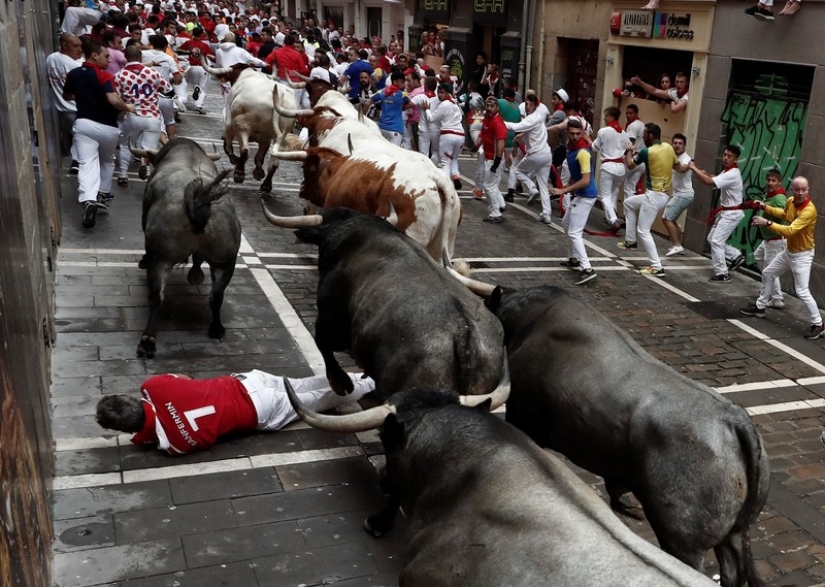 Por qué la gente en España corre de toros: la historia de las vacaciones de San Fermín en Pamplona