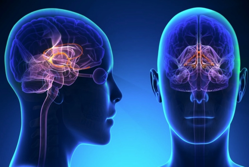Por qué revisamos los gustos tan a menudo, o 10 ejemplos de control mental humano
