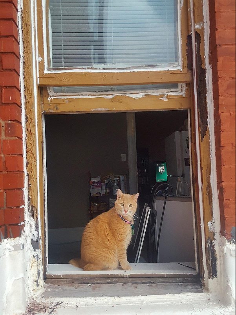 ¿Por qué se instalan ventanas corredizas en EE. UU.?