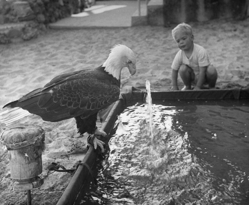 Praise the water — a selection of photos from the archive of LIFE