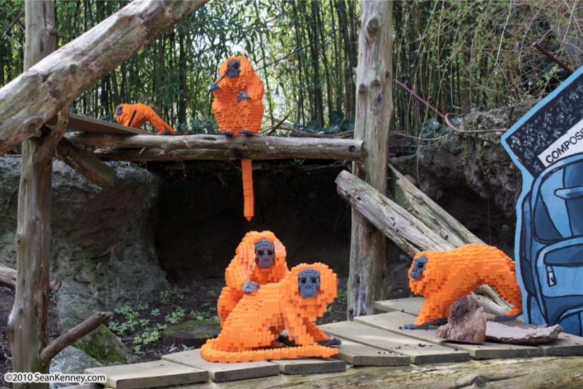 Profesión lego-master-cómo ganar dinero jugando Profesión lego-master-cómo ganar dinero jugando