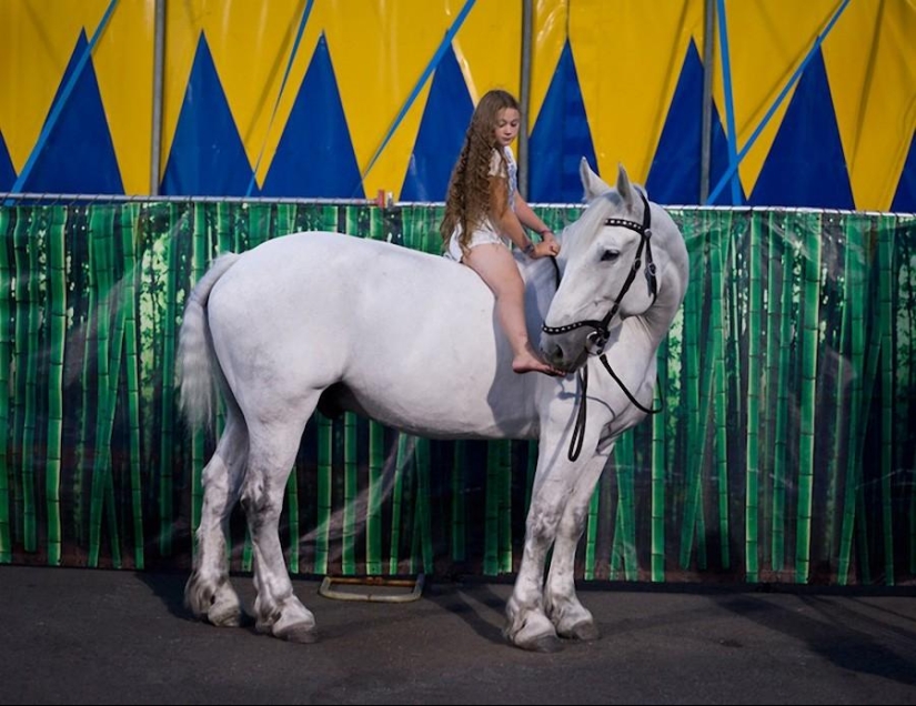 Proyecto fotográfico Robin Schwartz “El mundo de Amelia”: Arte a través del prisma de la infancia y la naturaleza Proyecto fotográfico Robin Schwartz “El mundo de Amelia”: Arte a través del prisma de la infancia y la naturaleza