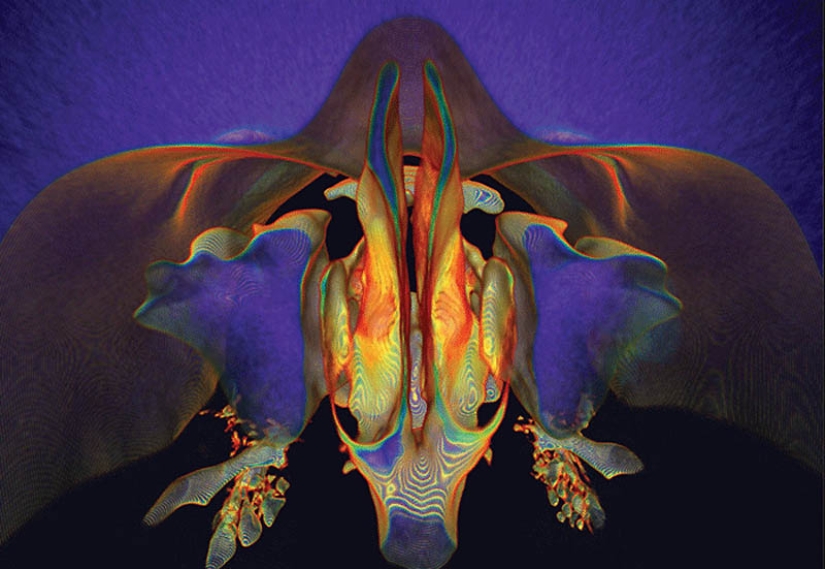 Psychedelic paintings created by science Psychedelic paintings created by science
