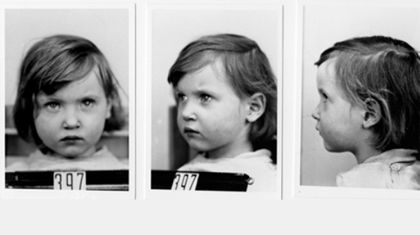 "Purificación" de la sangre: el proyecto secreto de los nazis para hacer crecer superdetes