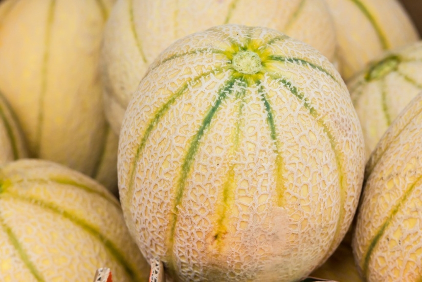 Qué comer en el calor: 10 productos para el verano Qué comer en el calor: 10 productos para el verano