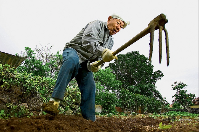 ¿Qué es el "Efecto Zonas Azules": Secretos de los Hígados Largos de los 5 Lugares Más Saludables del Planeta?