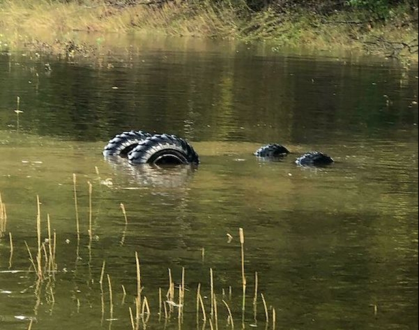 Qué es "mala suerte" : 22 fotos de personas que tuvieron un día muy difícil