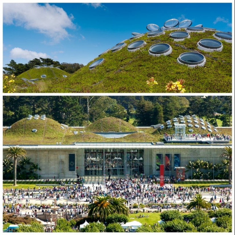 ¡Qué hermoso es este mundo, mira! 22 fotos interesantes sobre todo en el mundo ¡Qué hermoso es este mundo, mira! 22 fotos interesantes sobre todo en el mundo