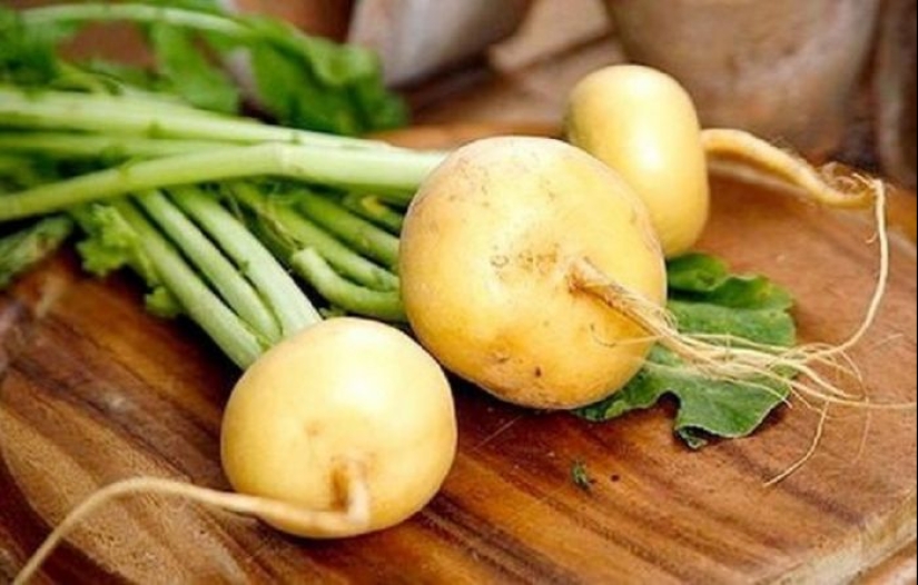 ¿Qué hicieron los Rusos crecen en el jardín antes de la aparición de patatas