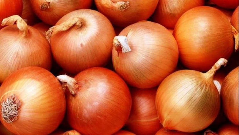¿Qué hicieron los Rusos crecen en el jardín antes de la aparición de patatas