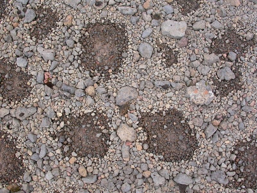 Qué le sucede al suelo cuando se congela y luego se descongela