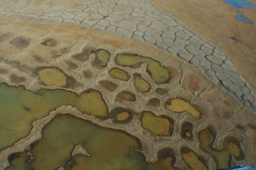 Qué le sucede al suelo cuando se congela y luego se descongela