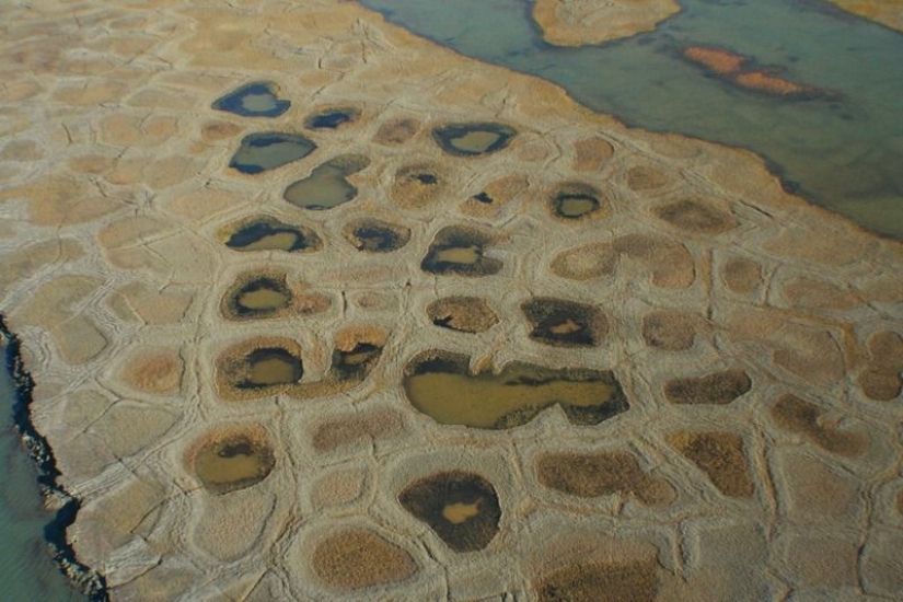 Qué le sucede al suelo cuando se congela y luego se descongela