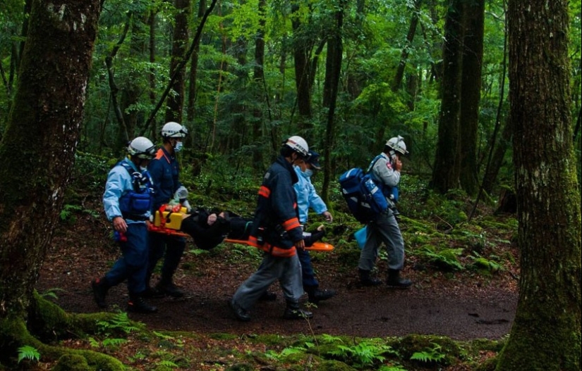 ¿Qué se esconde tras Aokigahara? El bosque de los suicidios en el corazón de Japón