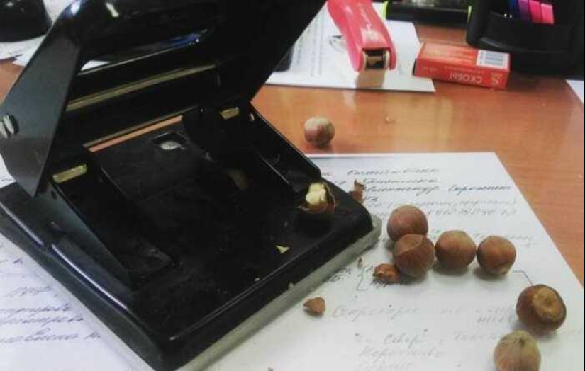 ¿Qué te parece esto, Elon Musk: 22 inventos dudosos de genios domésticos? ¿Qué te parece esto, Elon Musk: 22 inventos dudosos de genios domésticos?