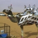 ¿Quién eres, Dubai, adiós: enloquecedor y un poco divertido lujo ¿Quién eres, Dubai, adiós: enloquecedor y un poco divertido lujo