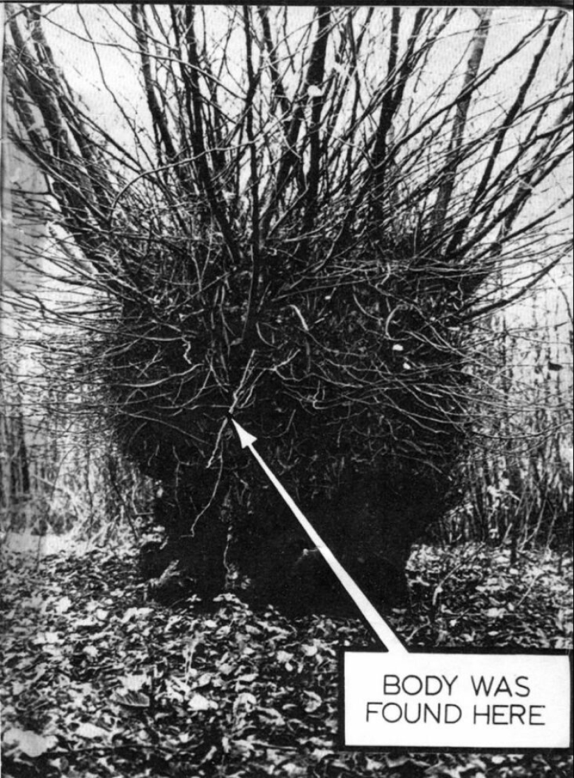 ¿Quién puso a Bella en el Olmo de la Bruja? El Crimen Más Misterioso de Gran Bretaña