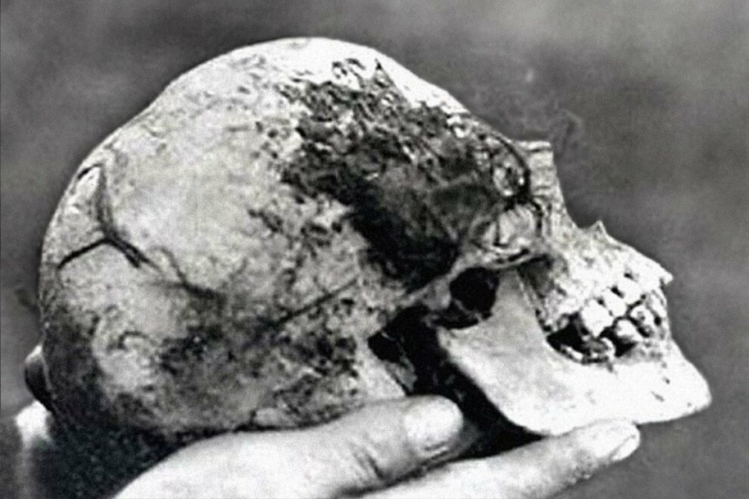 ¿Quién puso a Bella en el Olmo de la Bruja? El Crimen Más Misterioso de Gran Bretaña