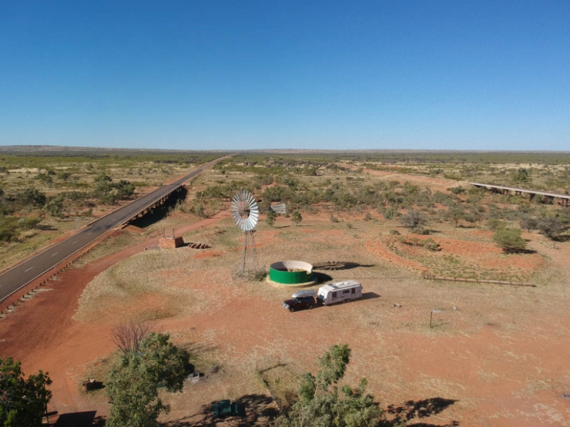 Quiénes son los Caminantes Grises de Australia Quiénes son los Caminantes Grises de Australia
