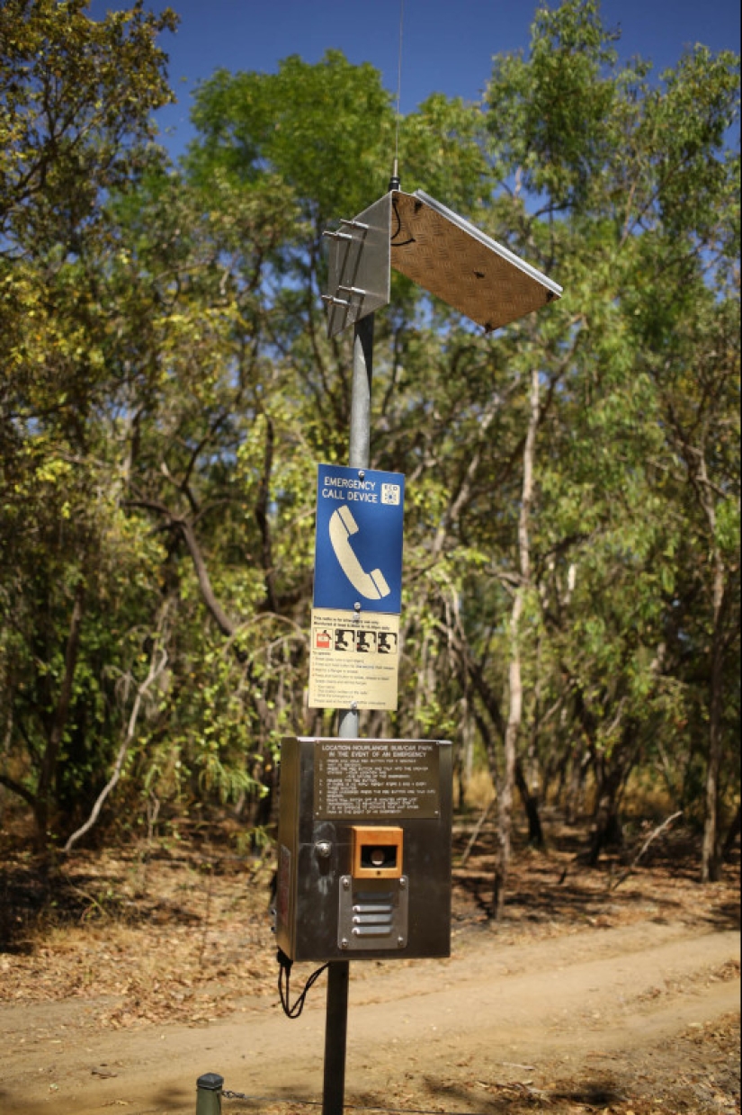 Quiénes son los Caminantes Grises de Australia Quiénes son los Caminantes Grises de Australia