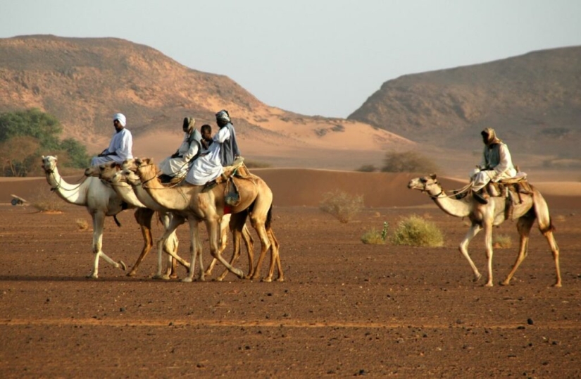¿Quiénes son los magiares, un pueblo africano que se considera húngaro?