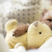 Quiet time a puppy Quiet time a puppy