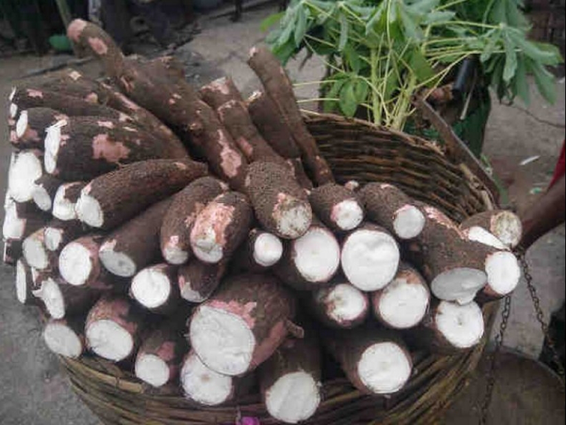 Quinientos millones de personas en la Tierra consumen un producto mortal
