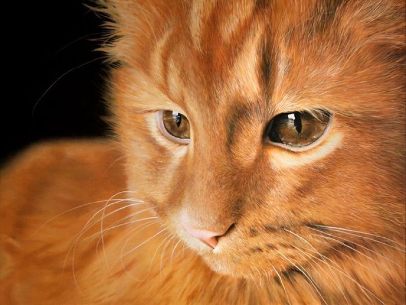 Realistic paintings by Johannes Wessmark, a self-taught artist from Sweden