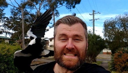 Reddit users responded to the question: "What is normal in your country and it seems super-weird to foreigners"