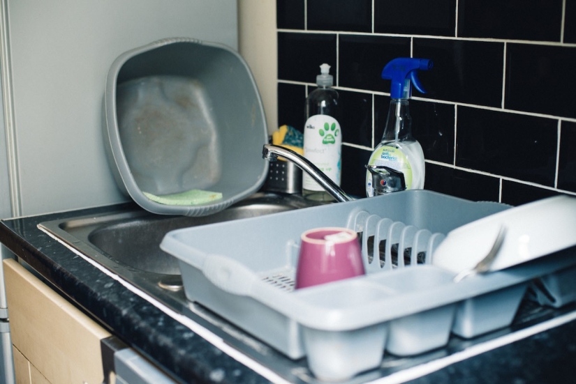 ¿Reinas de mierda o chistyuli de la casa?