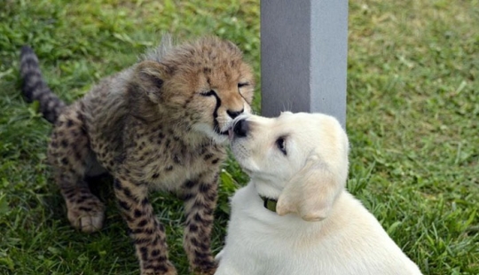 Relajarse! 10 datos que va a calmar y deleite Relajarse! 10 datos que va a calmar y deleite