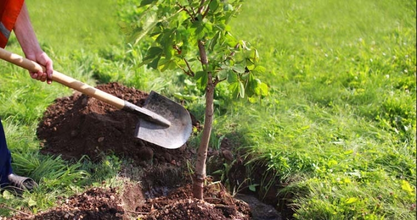 Relajarse! 10 datos que va a calmar y deleite