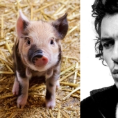"Remove the pig!": unexpected phobias of Depp, Bloom, Medvedeva and other stars "Remove the pig!": unexpected phobias of Depp, Bloom, Medvedeva and other stars