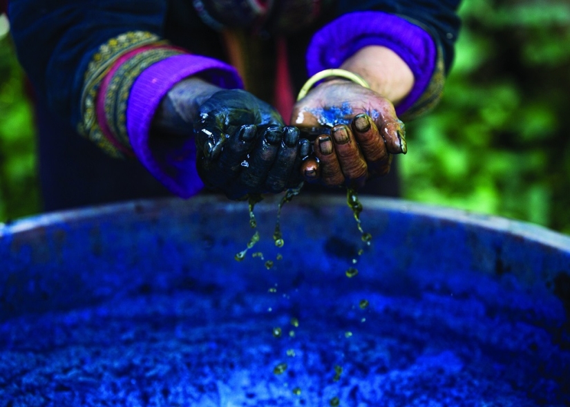 Retratos llamativos de representantes de las tribus del norte de Vietnam Retratos llamativos de representantes de las tribus del norte de Vietnam