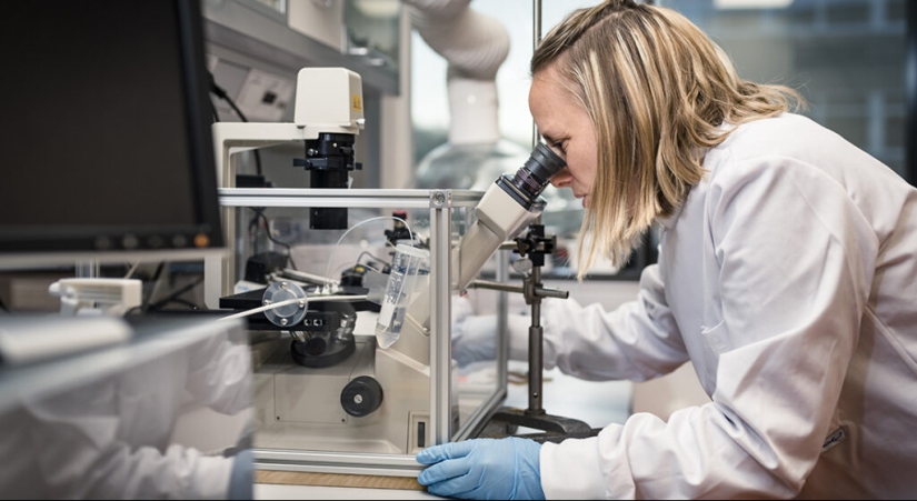 Reusable plastic bottles turned out to be dangerous for humans