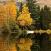 Roger Merrifield's Parallel Worlds