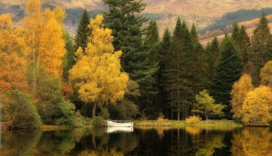 Roger Merrifield's Parallel Worlds